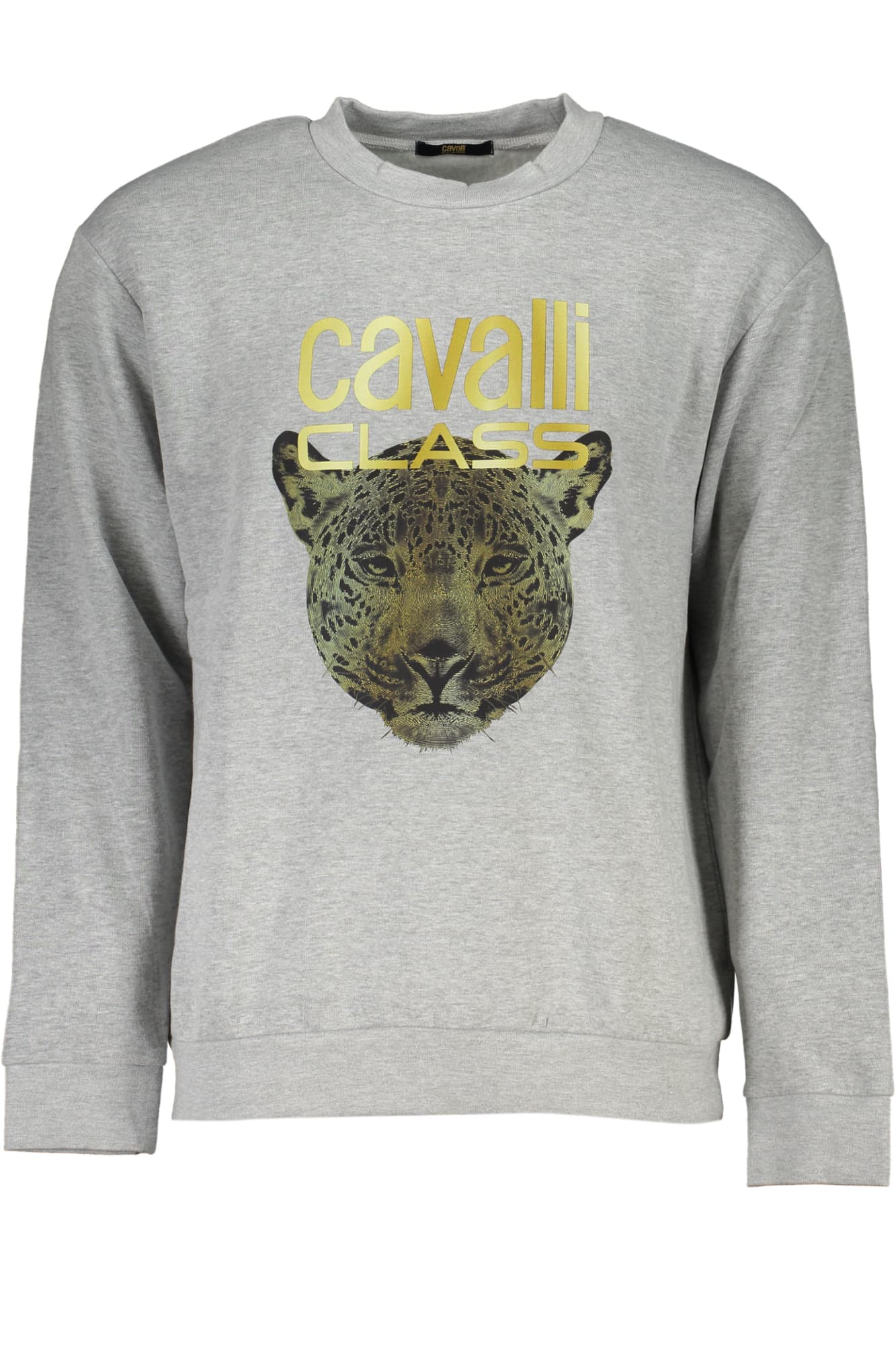 CAVALLI CLASS FELPA SENZA ZIP UOMO GRIGIO - Immagine principale