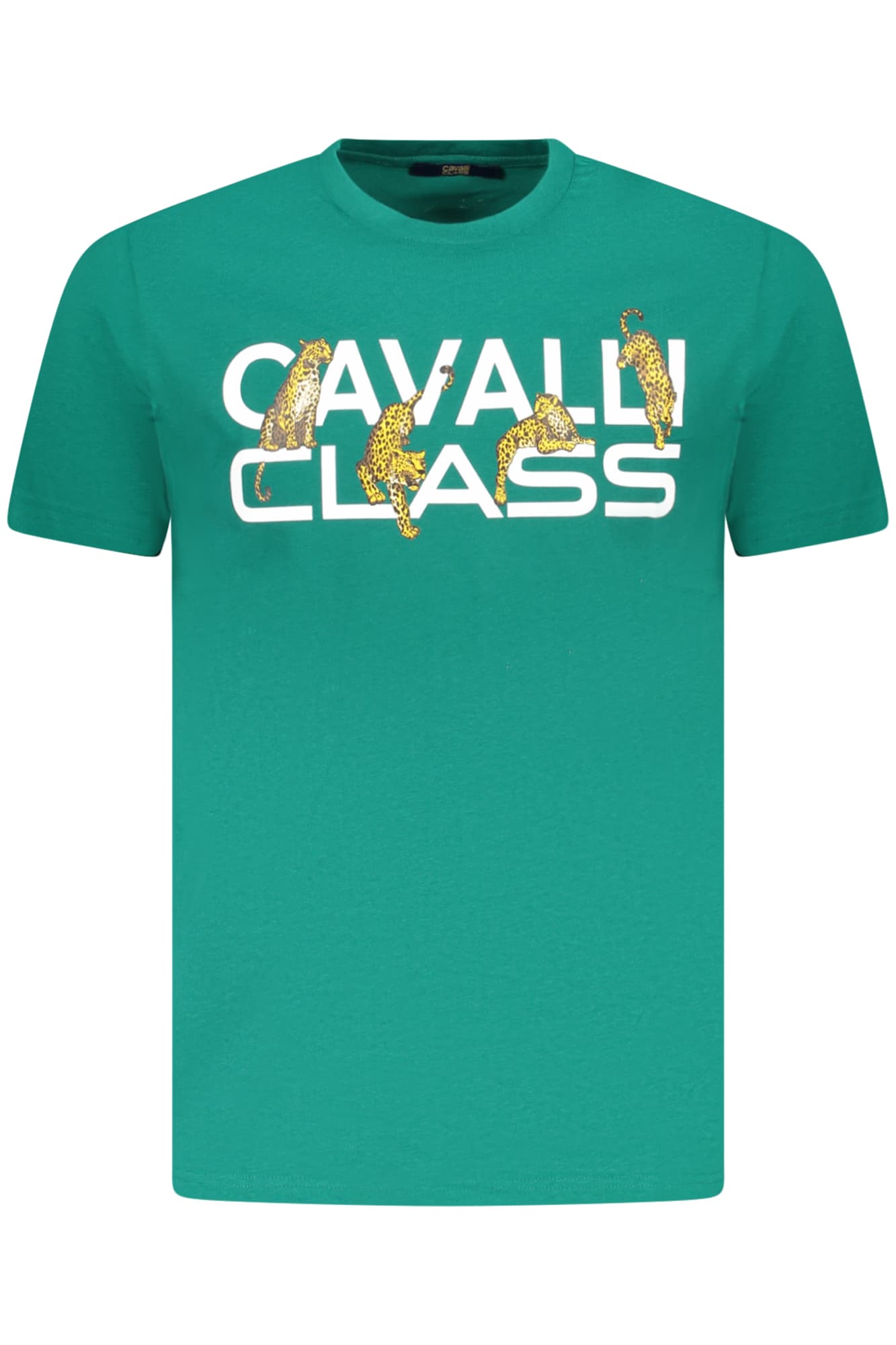 CAVALLI CLASS T-SHIRT MANICHE CORTE UOMO VERDE - Immagine principale