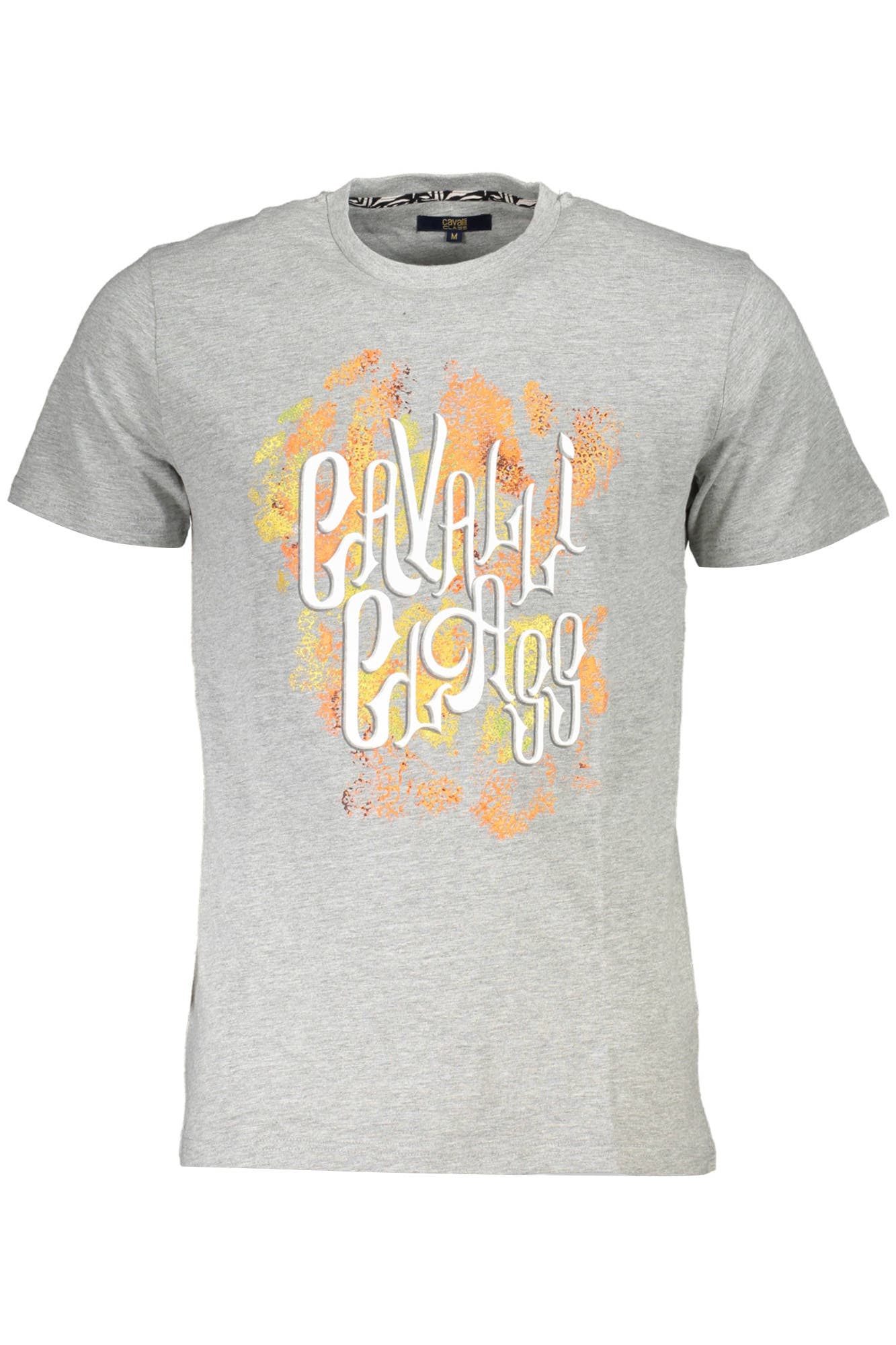 CAVALLI CLASS T-SHIRT MANICHE CORTE UOMO GRIGIO - Immagine principale