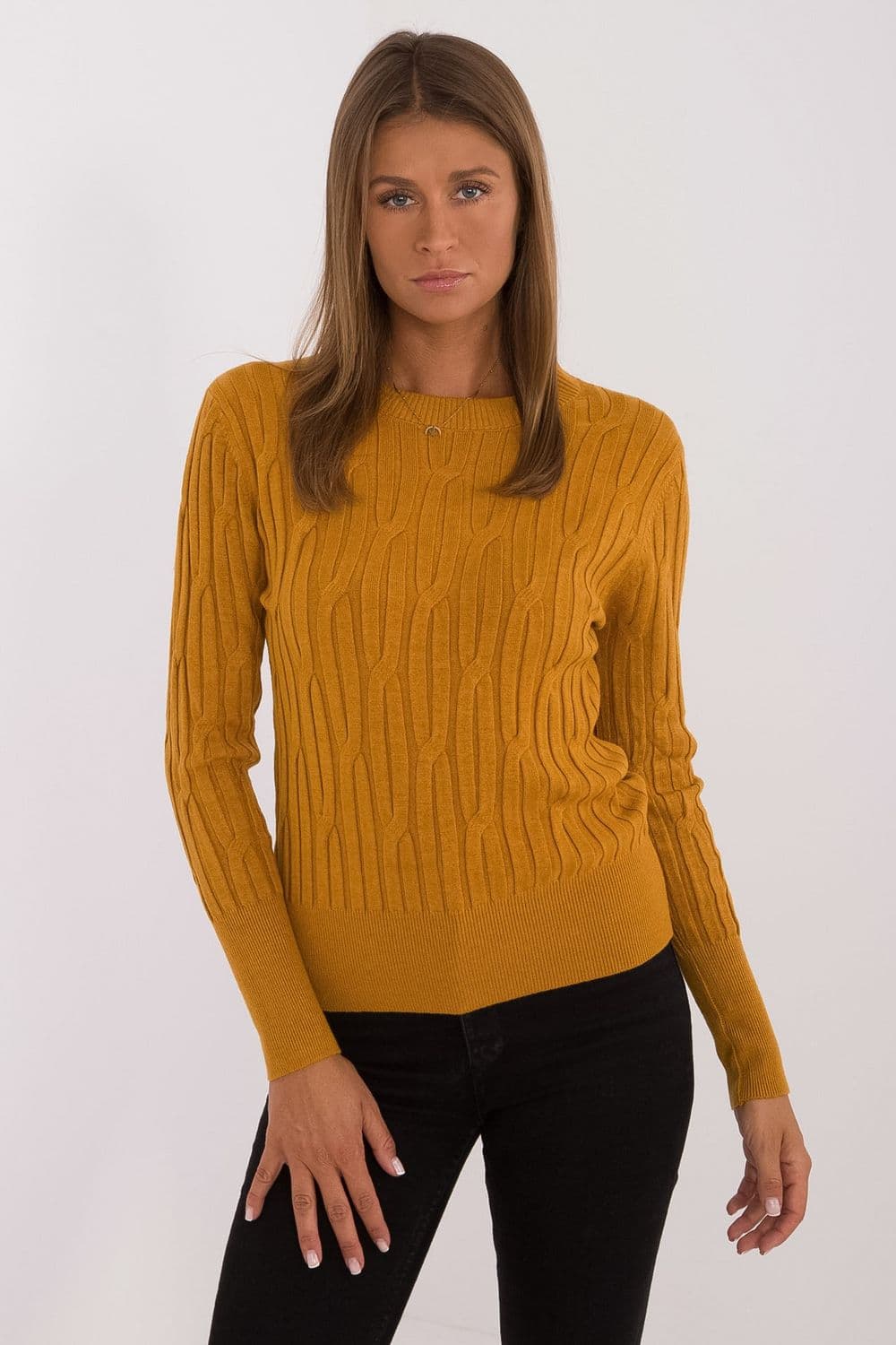 Maglione model 199754 AT