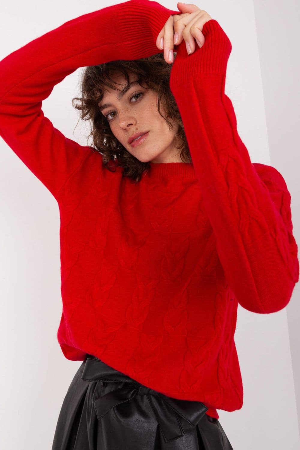 Maglione model 208291 AT