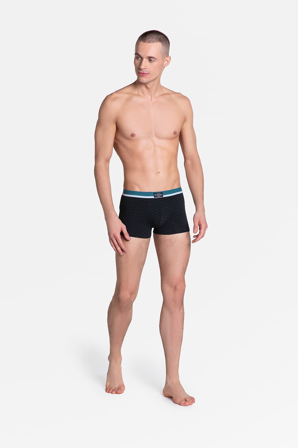 Boxer model 151518 Henderson