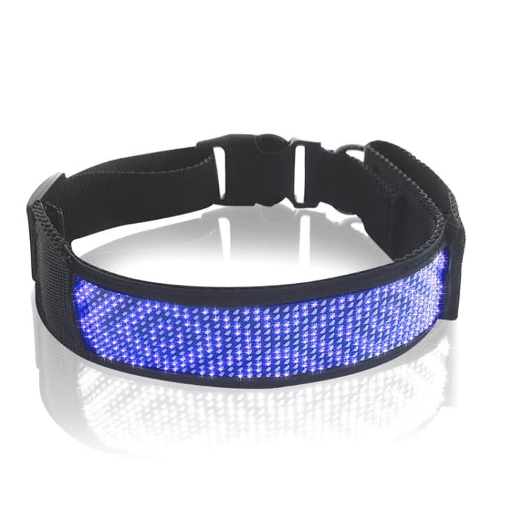 Collare per animali domestici con display LED ricaricabile ad alta visibilità, colore singolo fai da te (blu) - Immagine 1