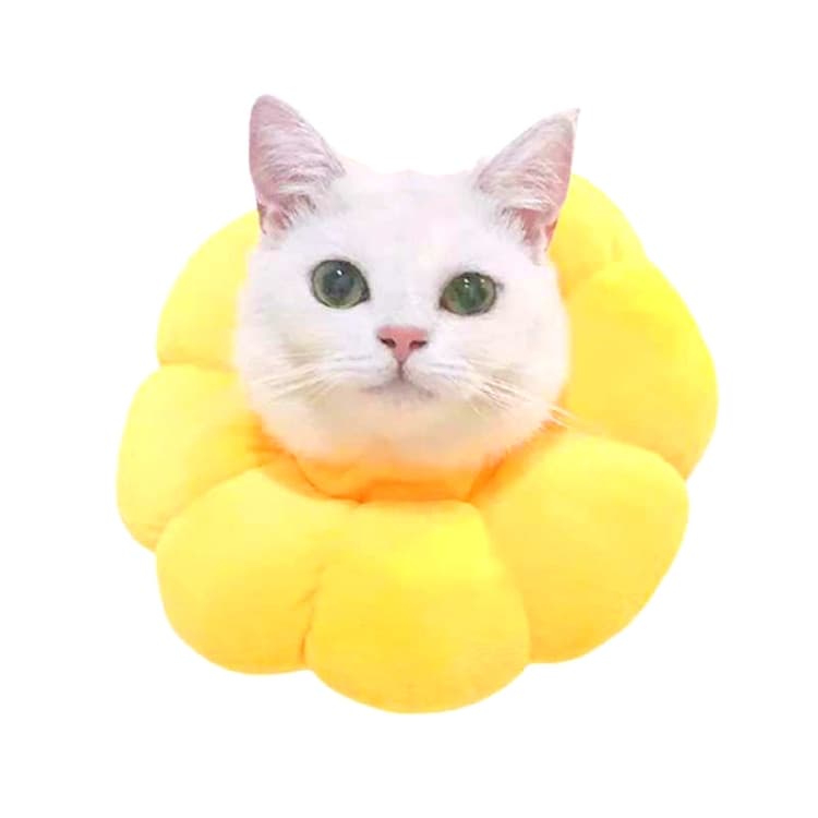 Copricapo per gatti, giocattolo antimorso, specifica: S (giallo dorato) - Immagine 1