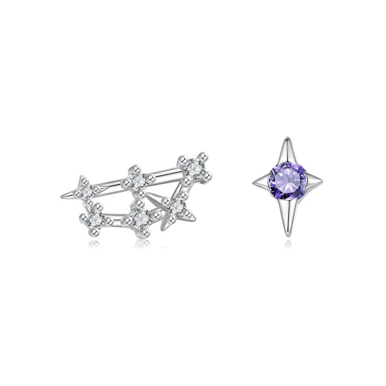 Orecchini a dodici costellazioni in argento sterling S925 con zirconi, specifica: Capricorno - Immagine 1
