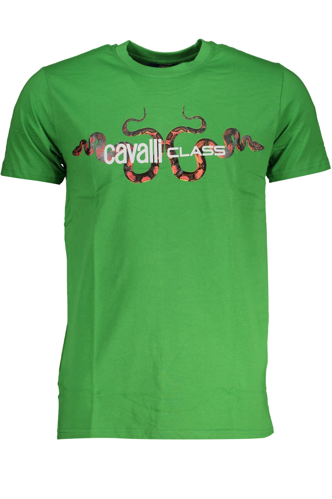 CAVALLI CLASS T-SHIRT MANICHE CORTE UOMO VERDE - Immagine 1