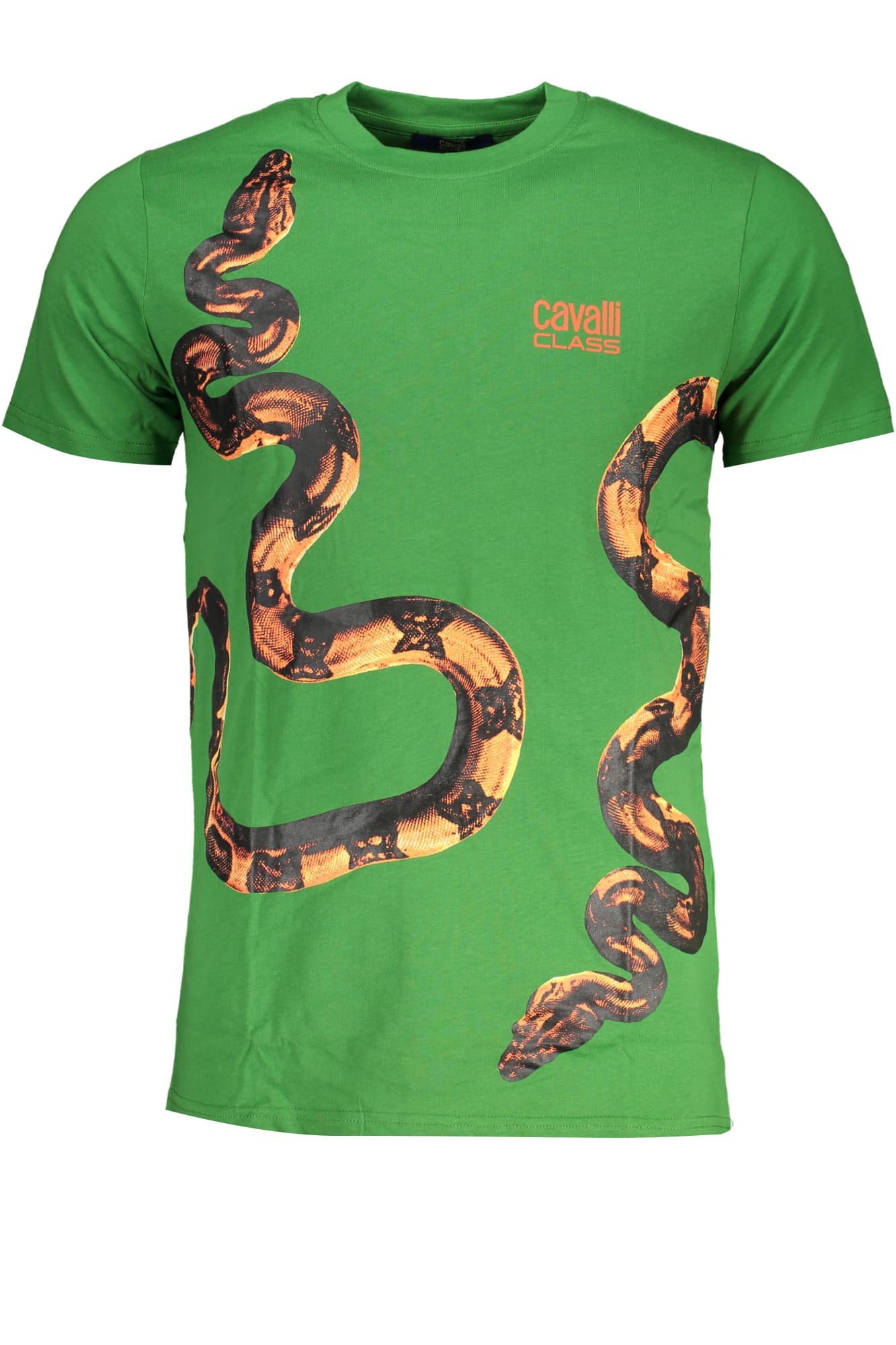CAVALLI CLASS T-SHIRT MANICHE CORTE UOMO VERDE - Immagine principale
