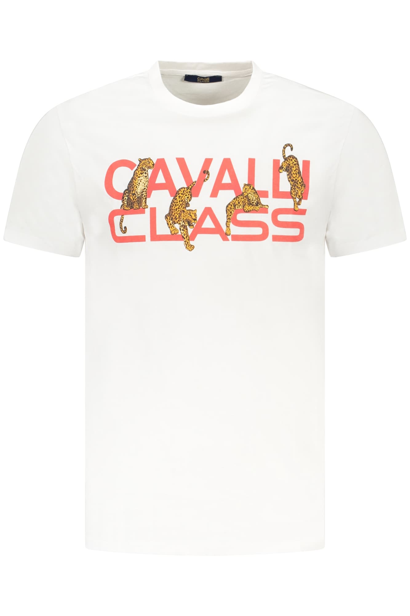 CAVALLI CLASS T-SHIRT MANICHE CORTE UOMO BIANCO - Immagine principale