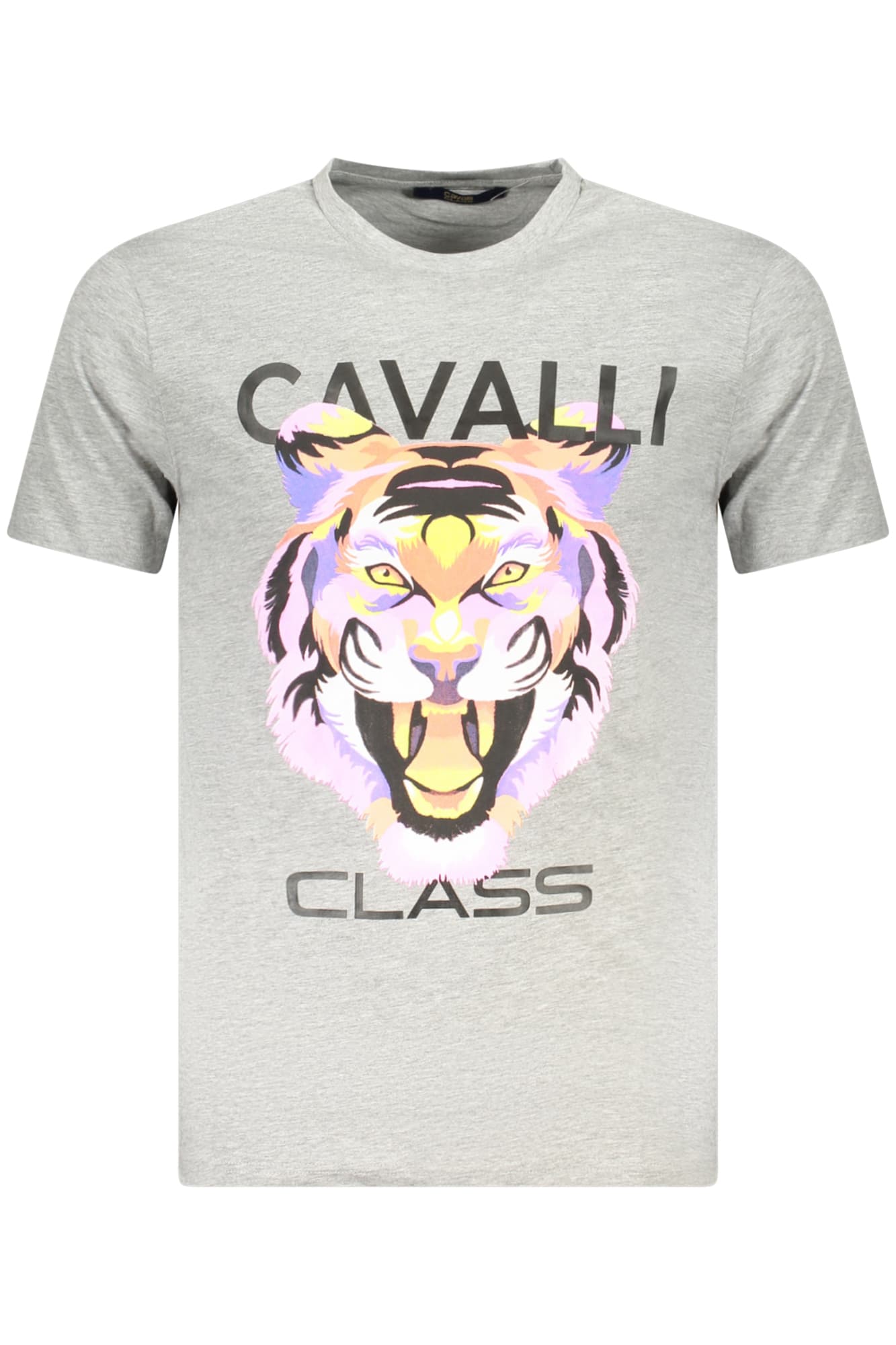 CAVALLI CLASS T-SHIRT MANICHE CORTE UOMO GRIGIO - Immagine principale