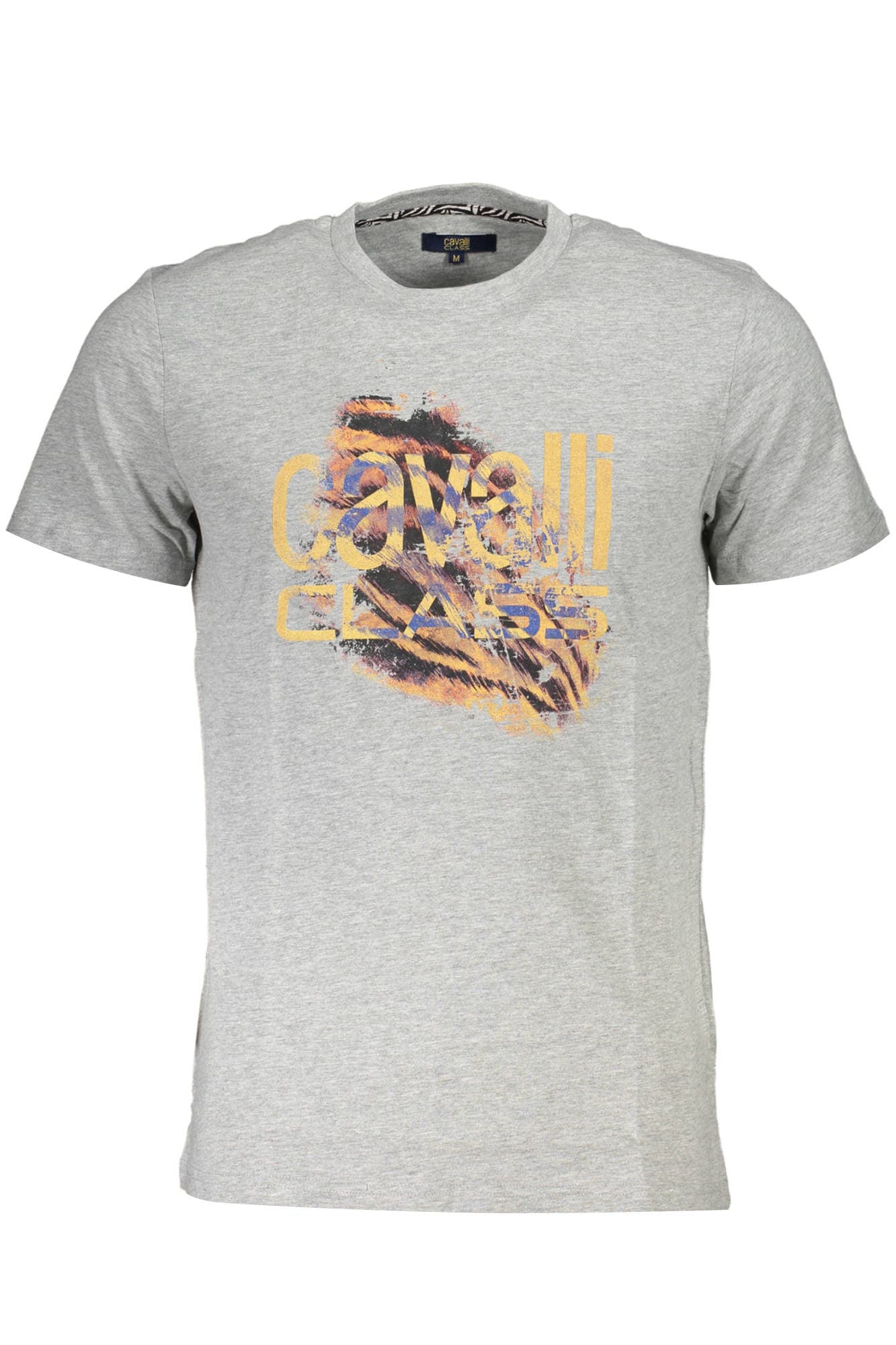 CAVALLI CLASS T-SHIRT MANICHE CORTE UOMO GRIGIO - Immagine principale