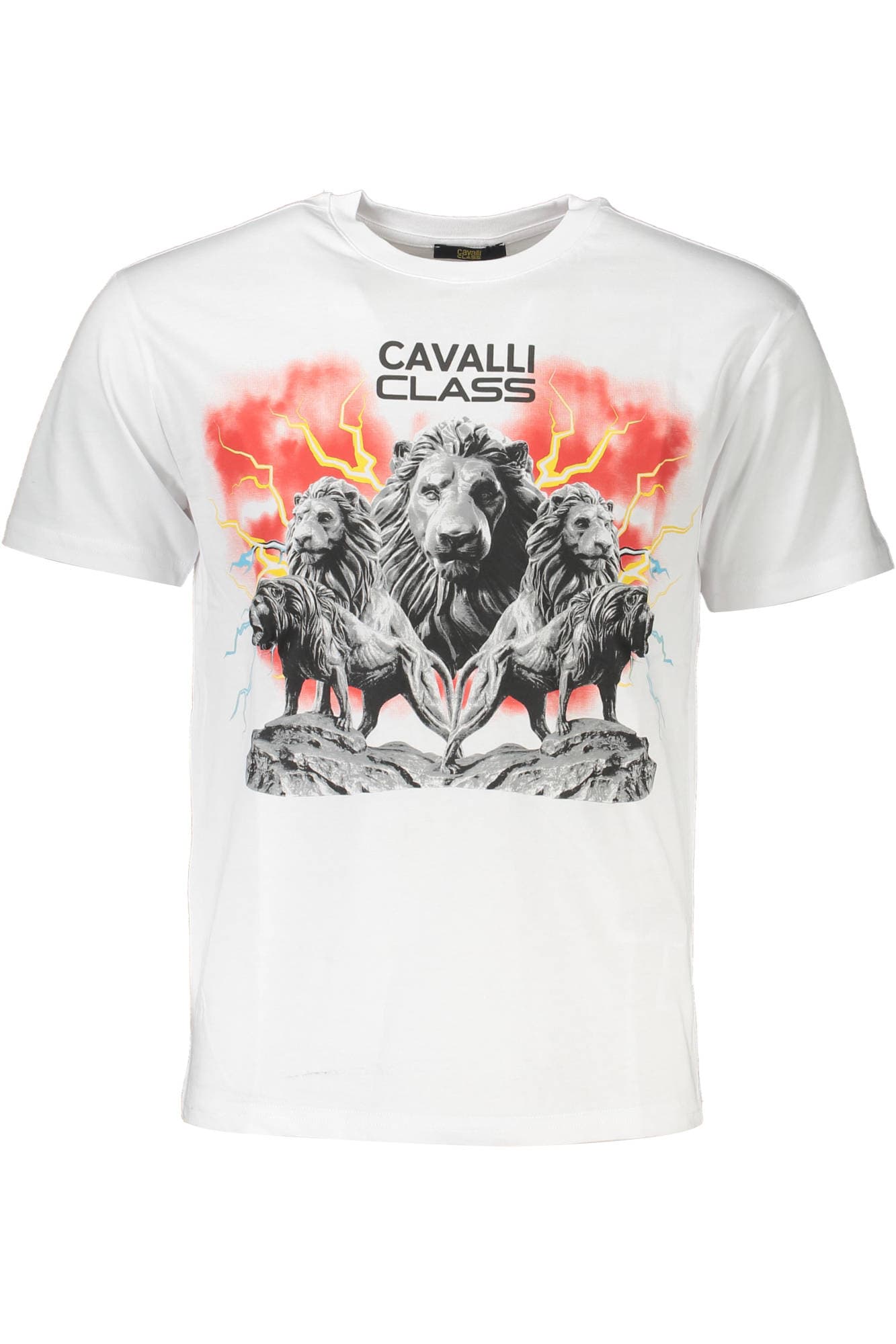 CAVALLI CLASS T-SHIRT MANICHE CORTE UOMO BIANCO - Immagine principale