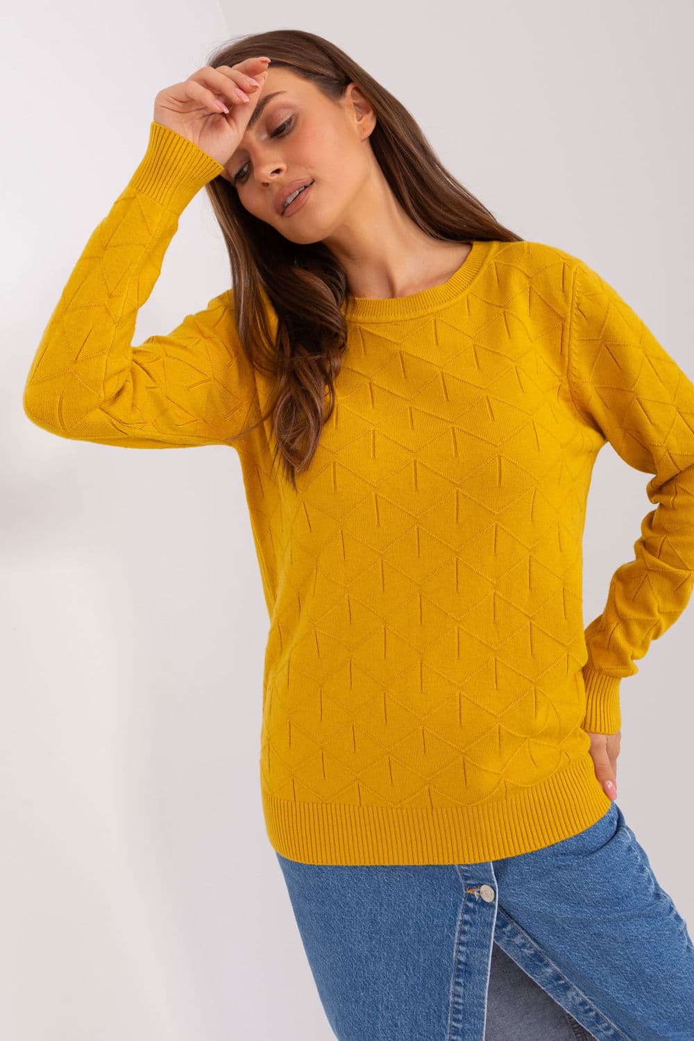 Maglione model 186561 AT
