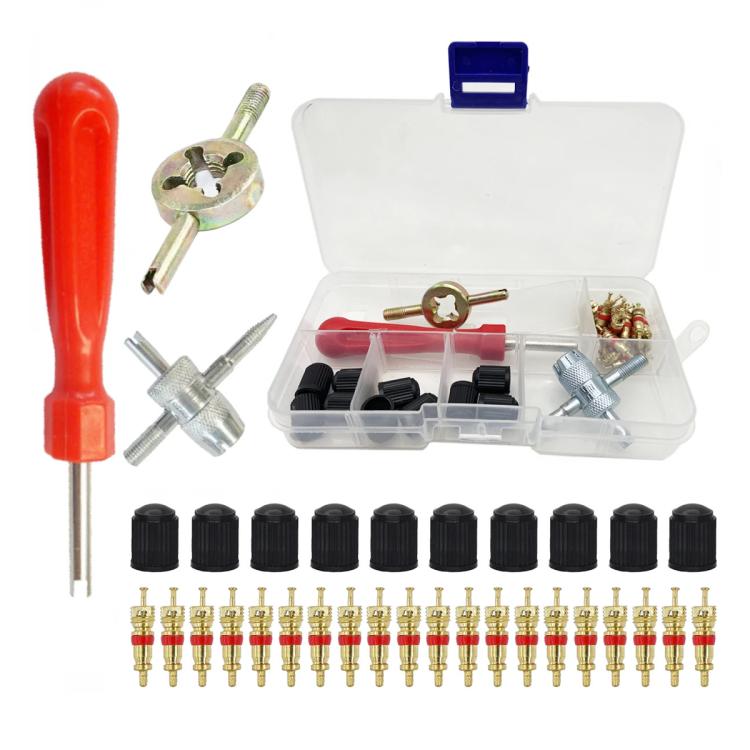 33pcs/Set Car Bicycle Tire Valve Core Installation Tool Repair Kit, Specifications: A