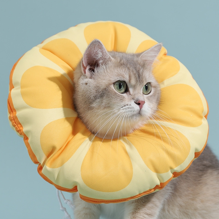 Cat Elizabeth Collar Kitten Anti-licking Collar Head Cover, Size: M(Orange)