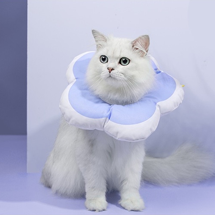Cute Flower Shaped Pet Anti-licking Collar, Specification: M(Purple)