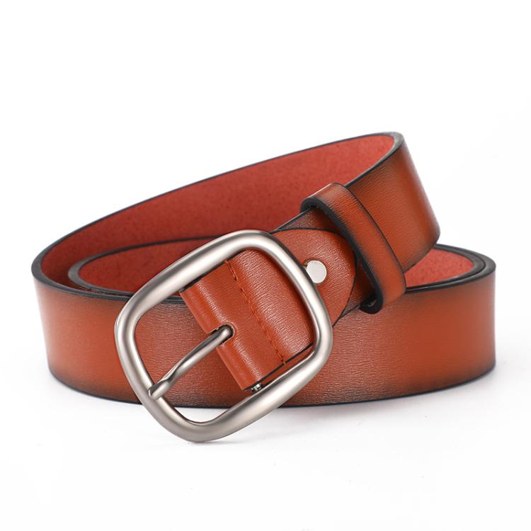 Dandali Men Alloy Pin Buckle Belt Casual Simple Hundred Pair Pants Belt, Length: 125cm(Brown)