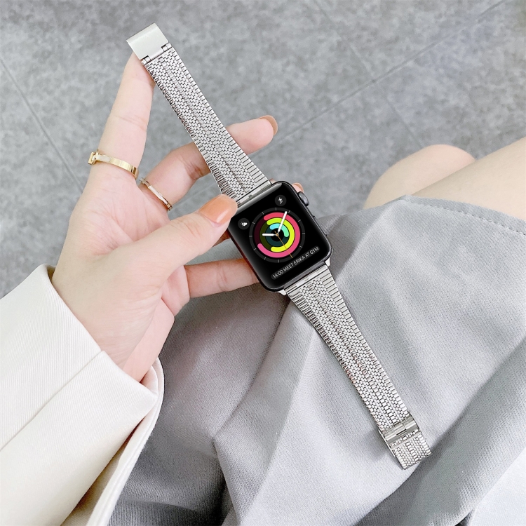 Double Lines Steel Watch Band For Apple Watch Series 9&8&7 41mm / SE 3&SE 2&6&SE&5&4 40mm / 3&2&1 38mm(Silver)