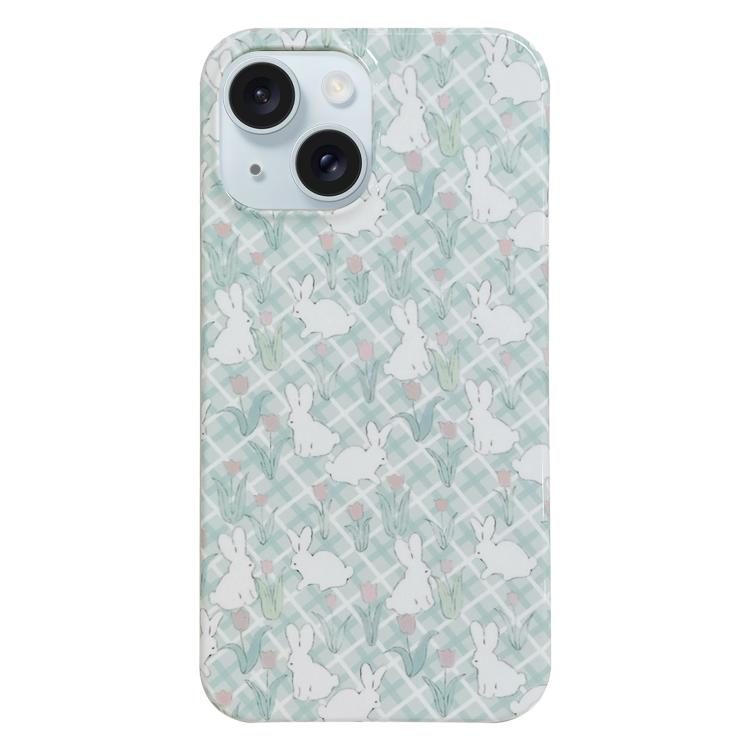 For iPhone 17 Painted Pattern PC Phone Case(Tulip Bunny)