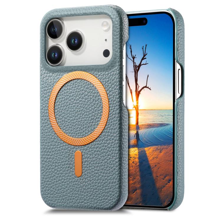 For iPhone 17 Pro Max Litchi Texture Brushed MagSafe PU Back Cover Phone Case(Blue)