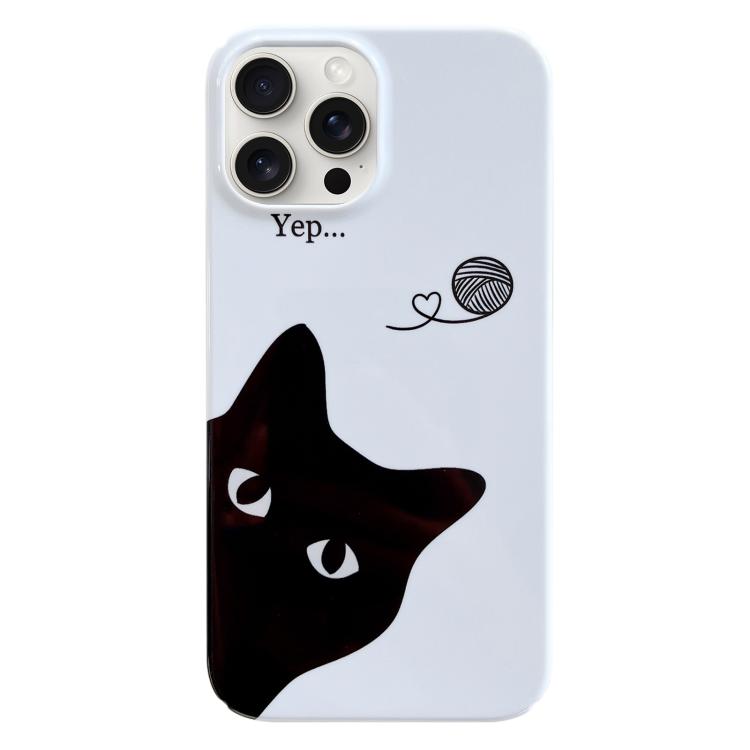 For iPhone 17 Pro Max Painted Pattern PC Phone Case(Black Cat)