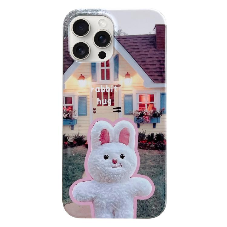 For iPhone 17 Pro Max Painted Pattern PC Phone Case(Bunny Hug)