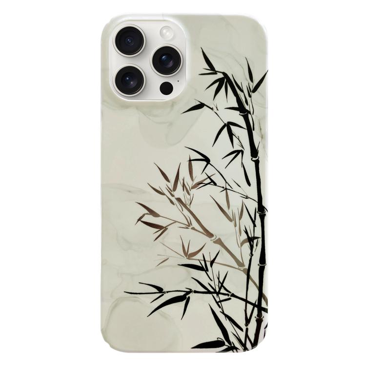 For iPhone 17 Pro Max Painted Pattern PC Phone Case(Ink Painting)
