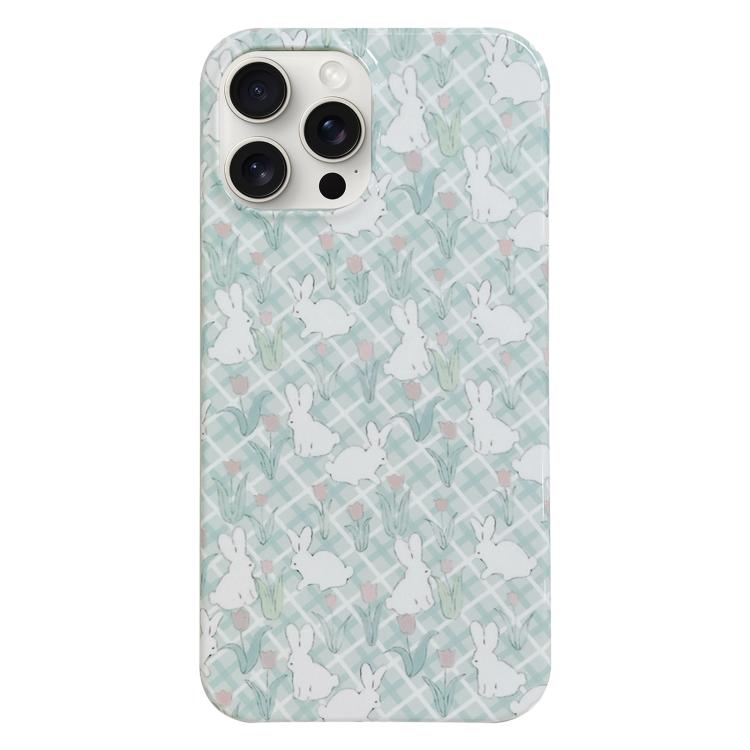 For iPhone 17 Pro Max Painted Pattern PC Phone Case(Tulip Bunny)
