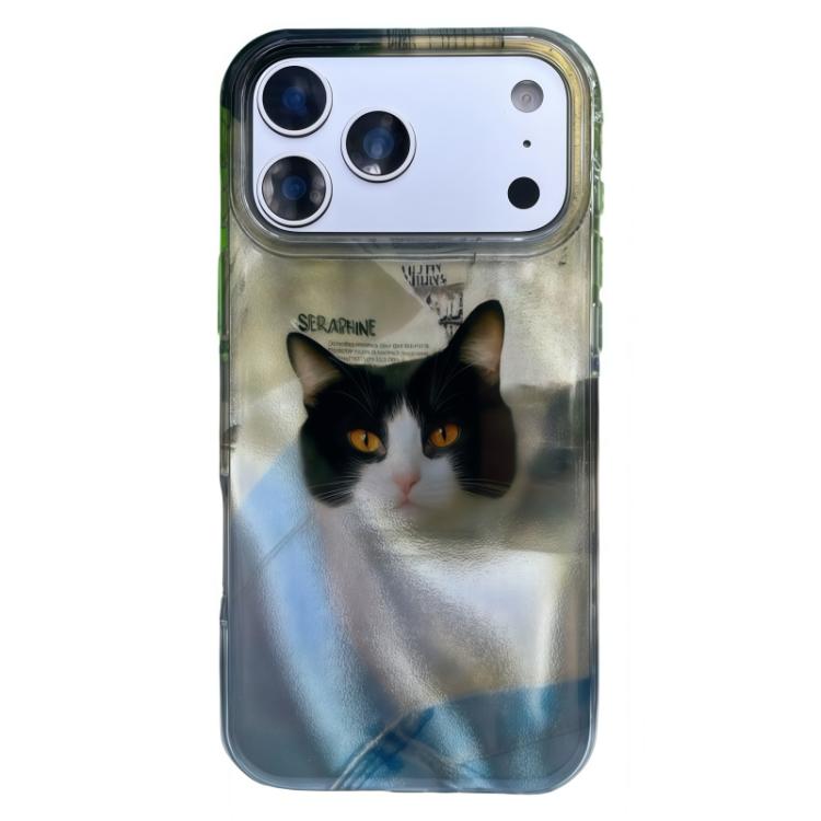 For iPhone 17 Pro Max Rounded Edge IMD Pattern TPU Phone Case(Sky Blue Cat)
