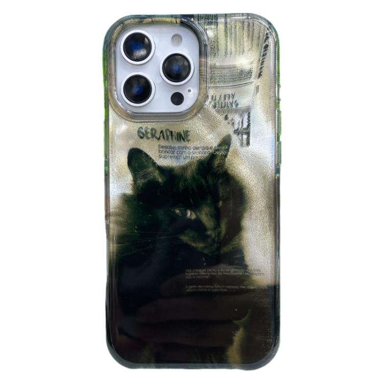For iPhone 17 Rounded Edge IMD Pattern TPU Phone Case(Black Cat)