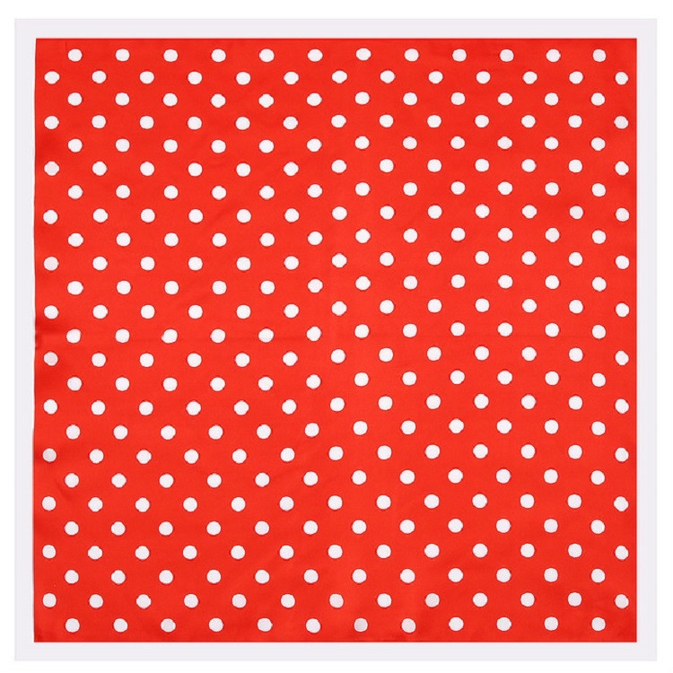 Spring Ladies Dots Pattern Silk ImitationSmall Scarf Square Scarf, Size:60 x 60cm(Red White Border)