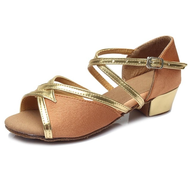 Tango Salsa Latin Low Heel Soft Bottom Dance Shoes for Girls & Women, Shoe Size:35(Brown)
